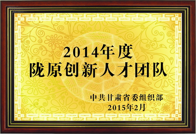 隴原創(chuàng)新人才團(tuán)隊(duì).jpg